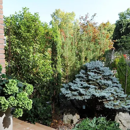 Very Cozy Apartment In The Center Of Rome 3* Fontecchio