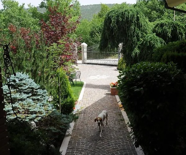 Pensionat Very Cozy Apartment In The Center Of Rome