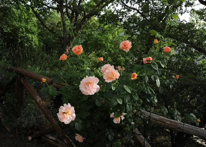 Very Cozy Apartment In The Center Of Rome Pensionat