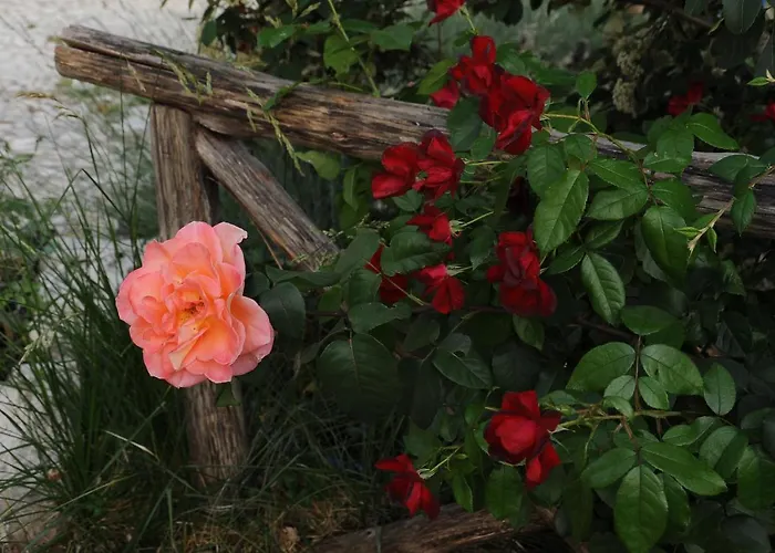 Pensionat Very Cozy Apartment In The Center Of Rome
